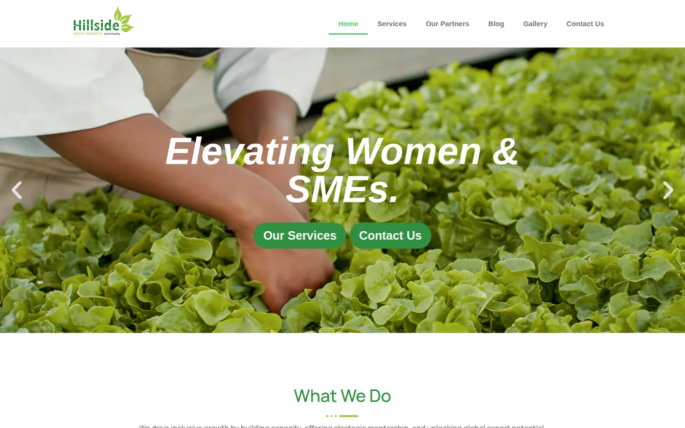The Hillside Green homepage, showing growers harvesting lettuce