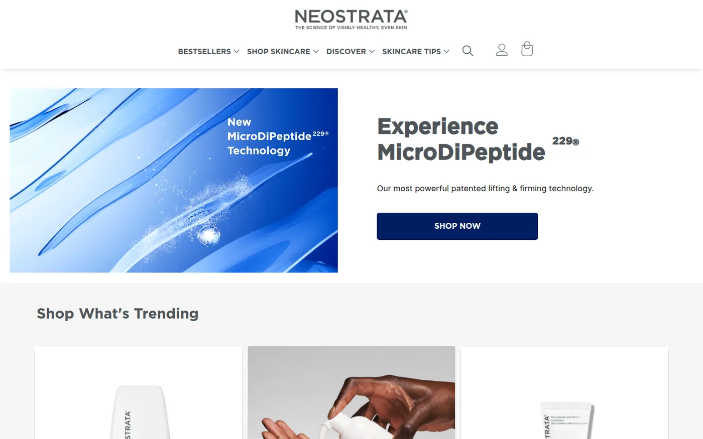 The public NeoStrata East Africa storefront — the customer-facing side of the business whose internal platform is described here